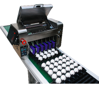 Egg Printing System